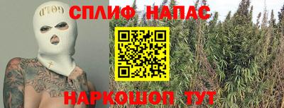 мдпв Славгород