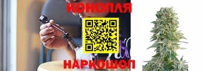 мдпв Славгород