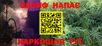 мдпв Славгород