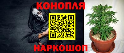 мдпв Славгород