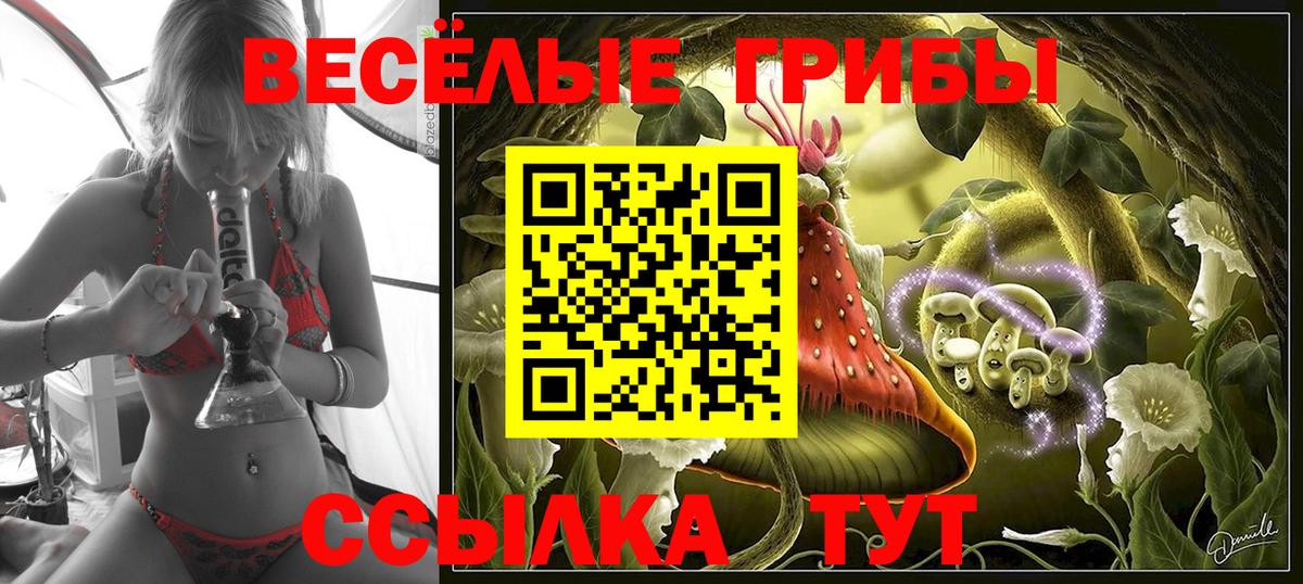 Псилоцибиновые грибы MAGIC MUSHROOMS  Вход с VPN  Псилоцибиновые грибы Psilocybe  Ярославль 