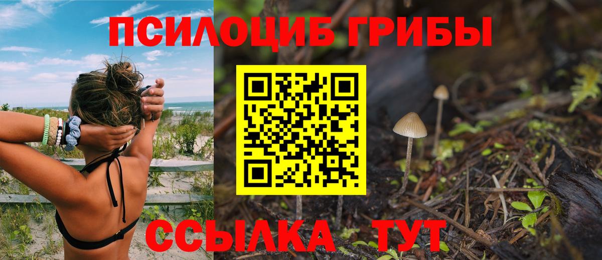 Галлюциногенные грибы Cubensis Ярославль